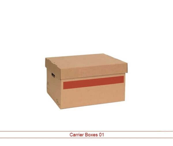 Custom Carrier Box
